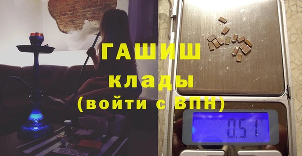 хмурый Аркадак