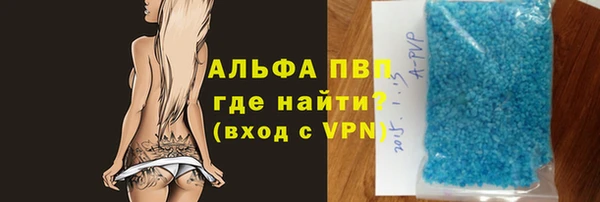 стафф Арсеньев