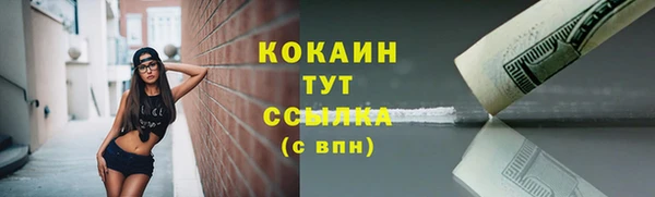 хмурый Аркадак