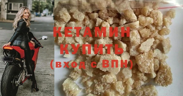 хмурый Аркадак