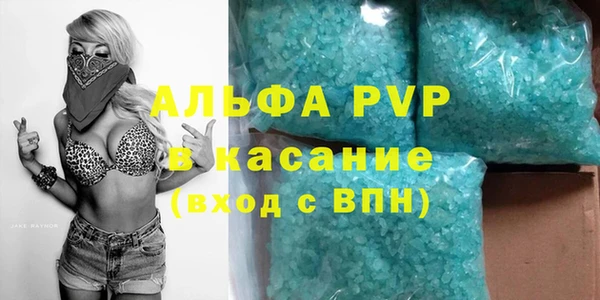 хмурый Аркадак
