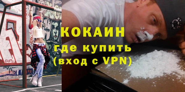 хмурый Аркадак