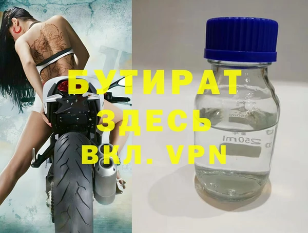 хмурый Аркадак