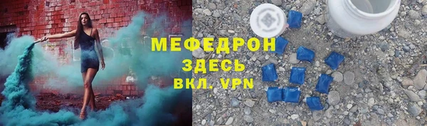 хмурый Аркадак